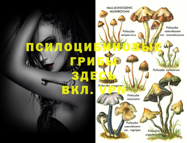 амф Елизово