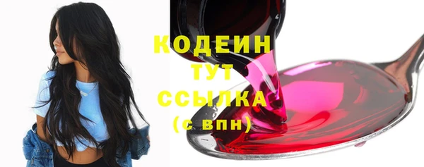 СК Ельня
