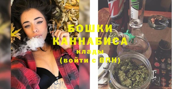 СК Ельня