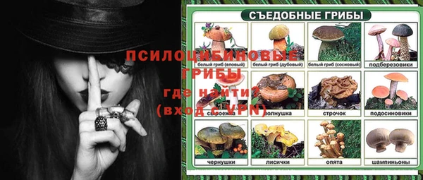 амф Елизово