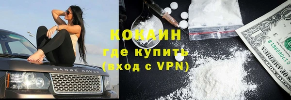 СК Ельня